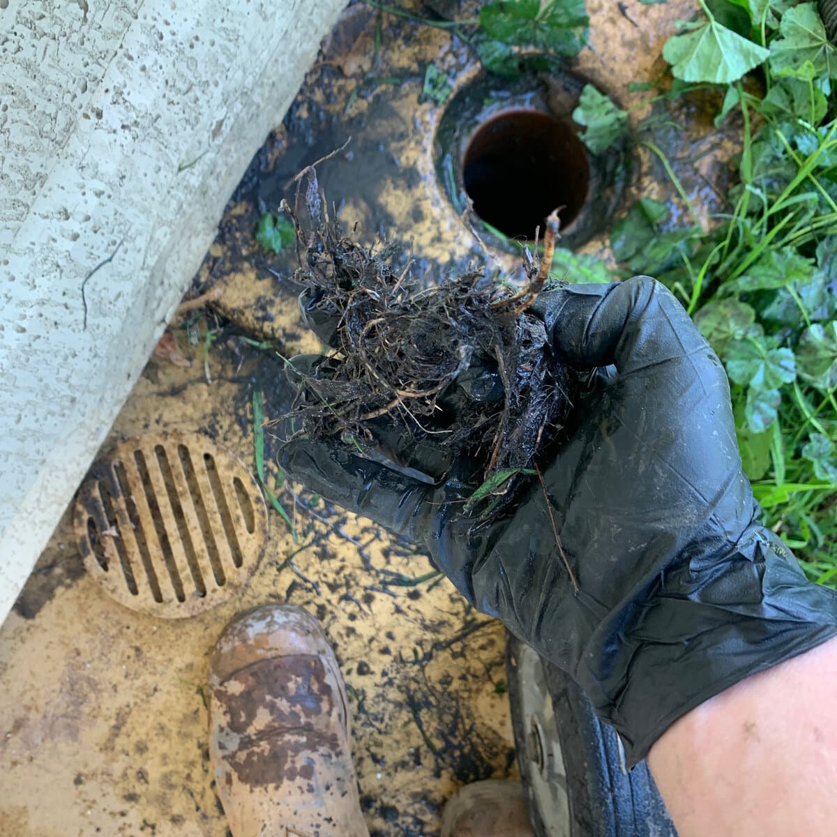 Plumber repairing a blocked sewer drain in Dee Why