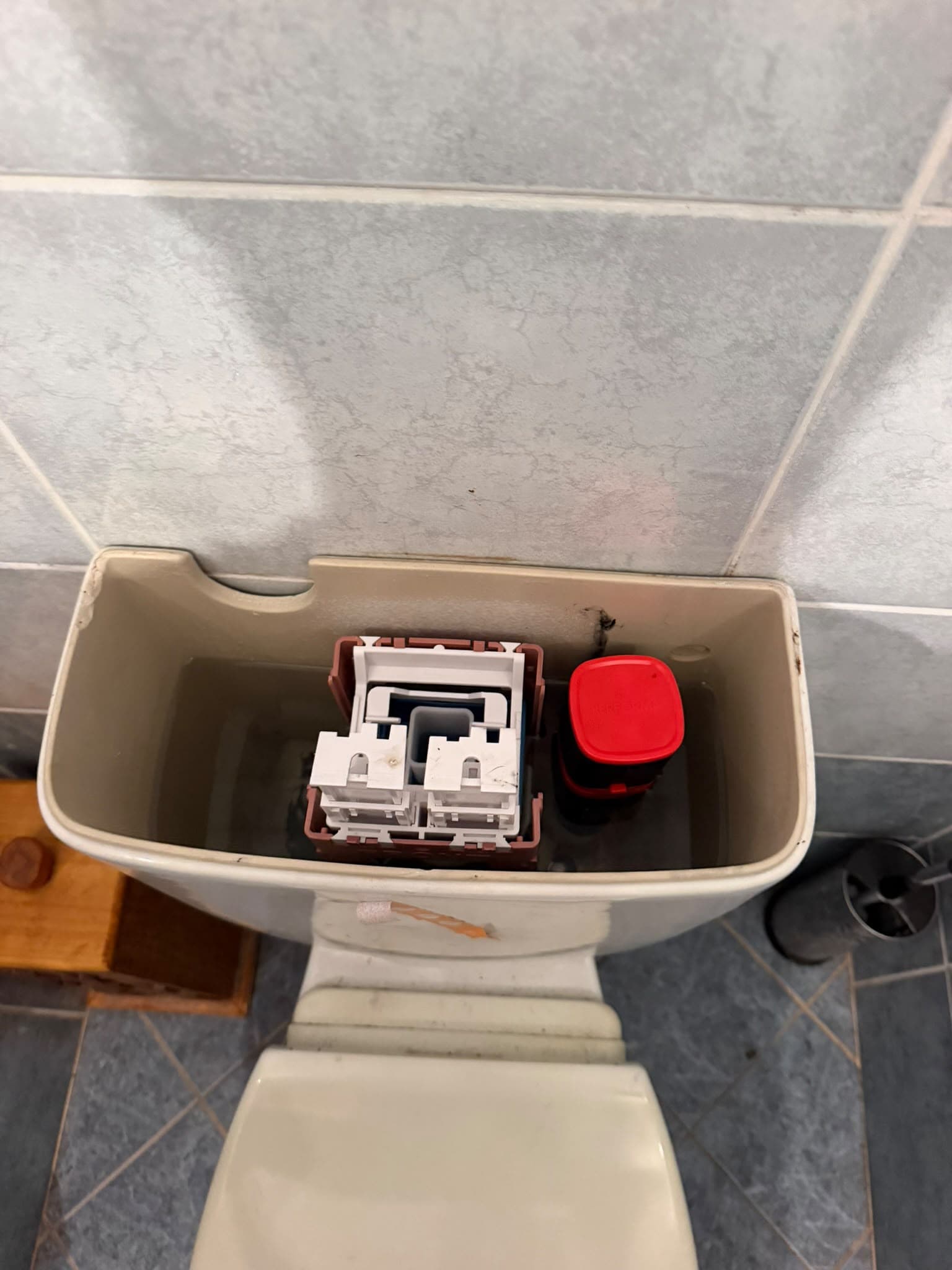 Open toilet cistern showing the inlet and flush mechanisms