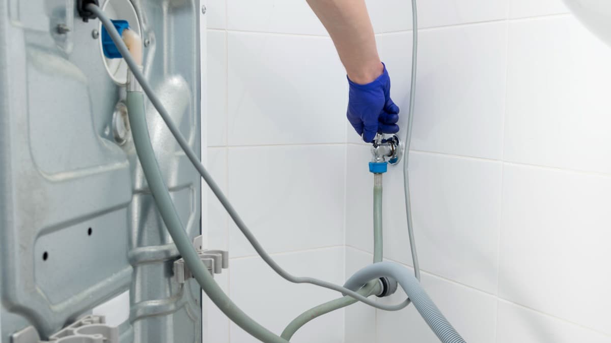 Plumber performing annual plumbing maintenance inspection in a Waitara home