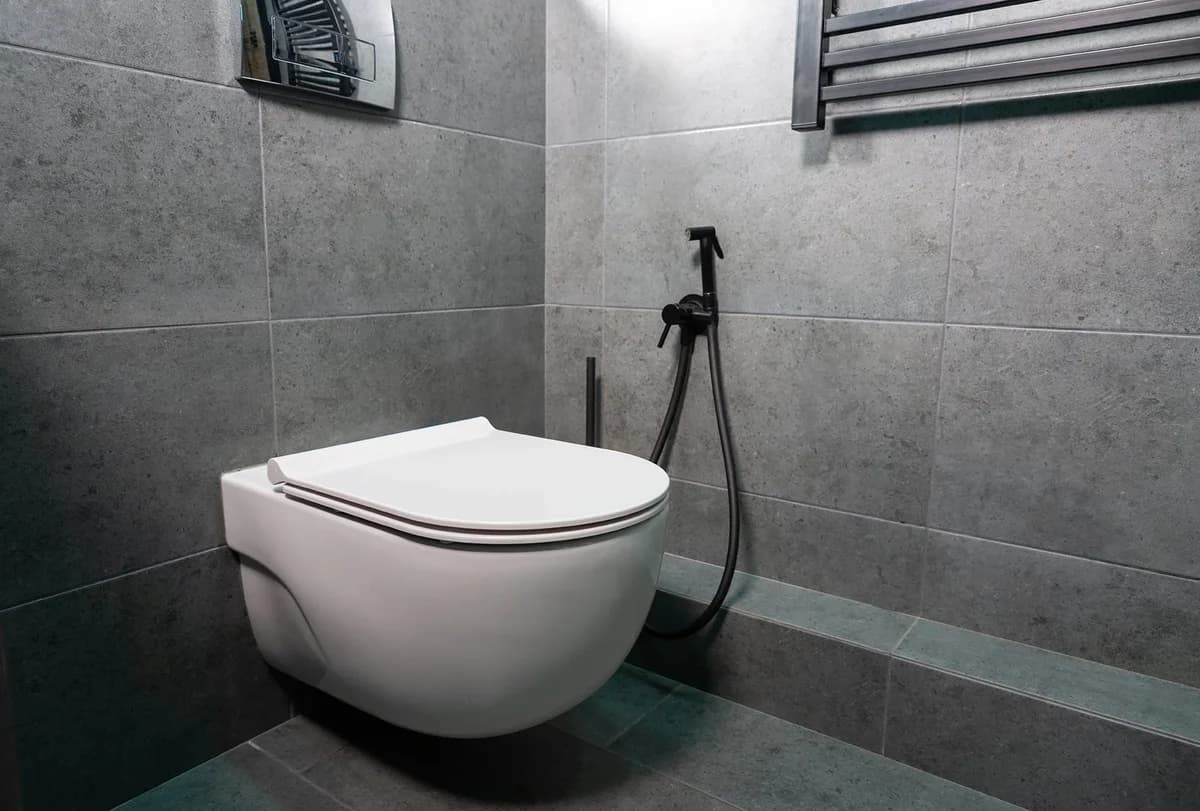 Professional toilet installation in a Revesby home